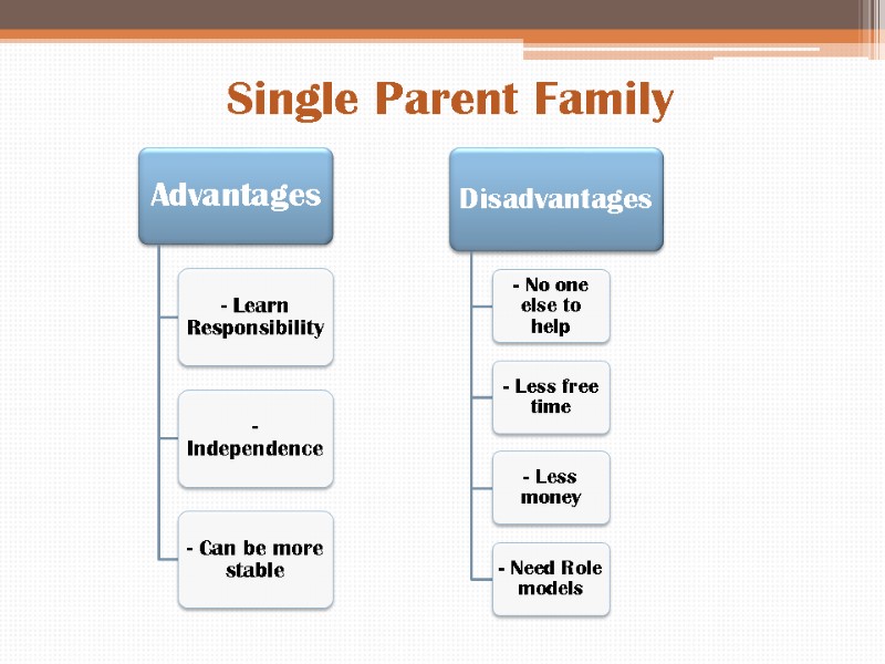 Single Parent Family